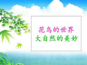 《有关花的诗句》PPT课件.ppt