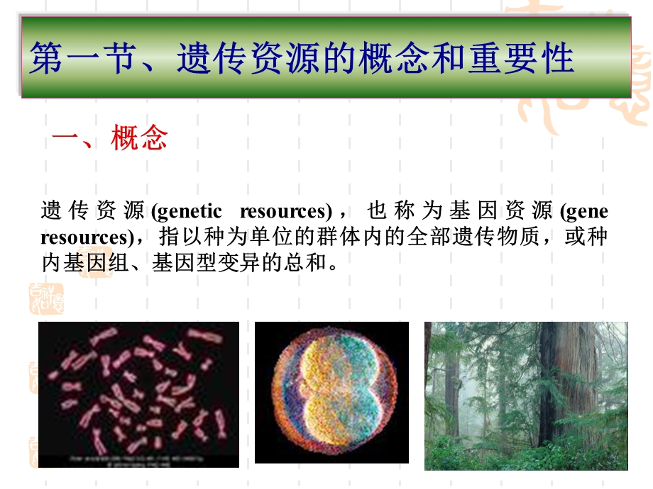 《森林基因资源》PPT课件.ppt_第2页