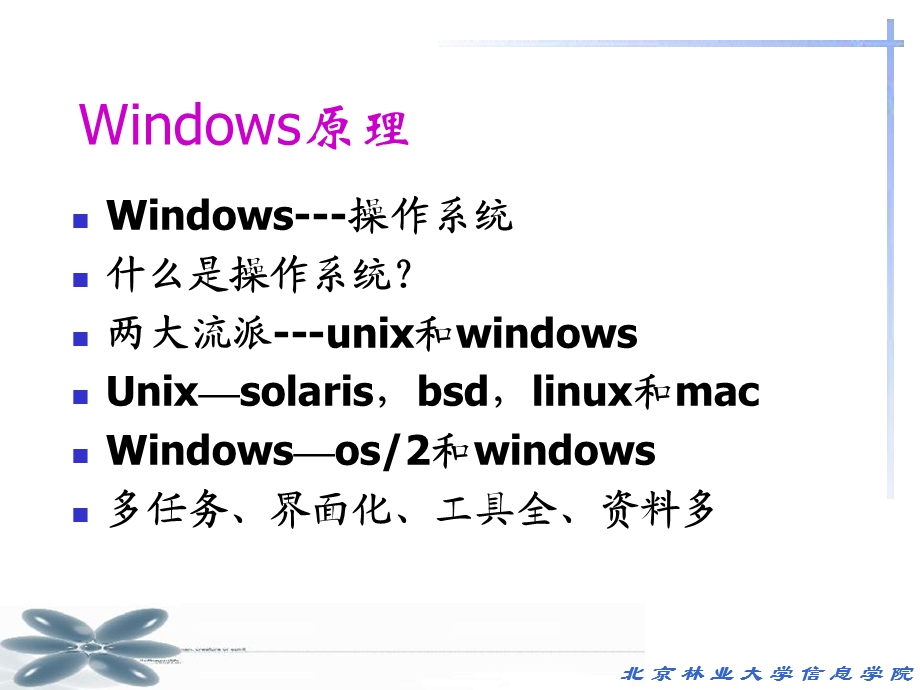 windows应用概述.ppt_第2页