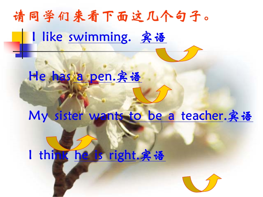 《教学宾语从句》PPT课件.ppt_第2页