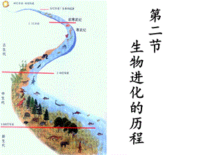 《生物进化的历程》PPT课件.ppt