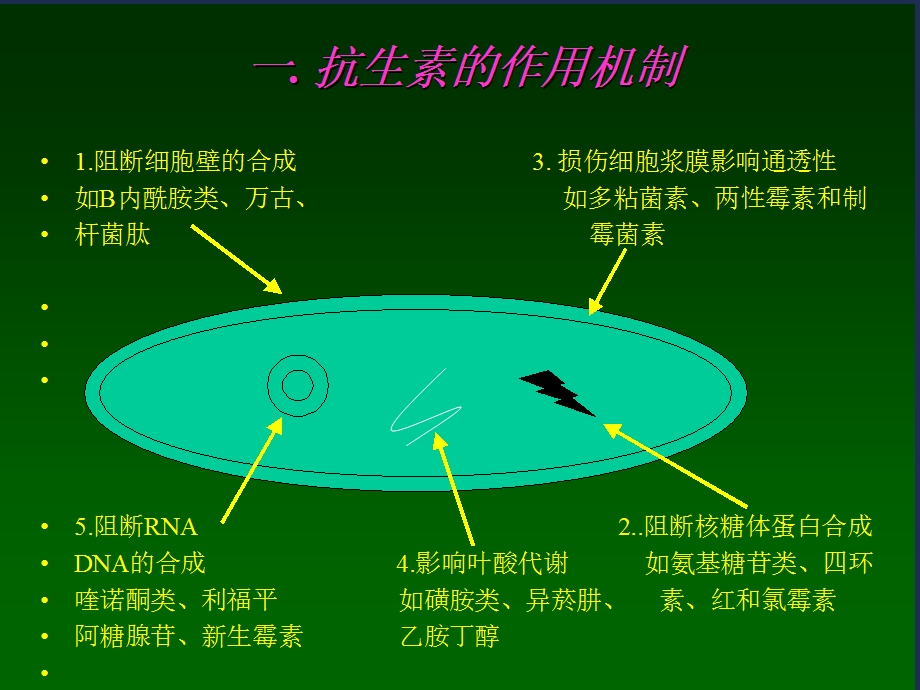 《抗菌素的应用》PPT课件.ppt_第2页