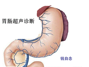 《胃肠超声诊断》PPT课件.ppt