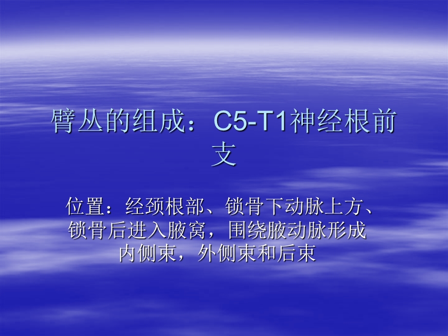 《臂丛神经解剖》PPT课件.ppt_第3页