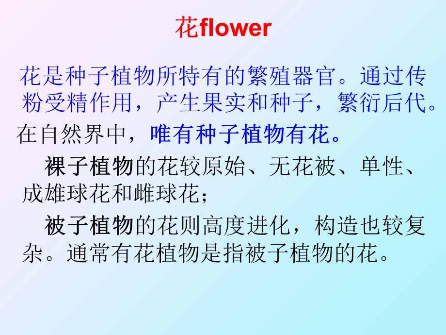 《植物的花器官》PPT课件.ppt_第3页