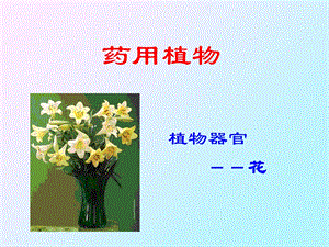 《植物的花器官》PPT课件.ppt