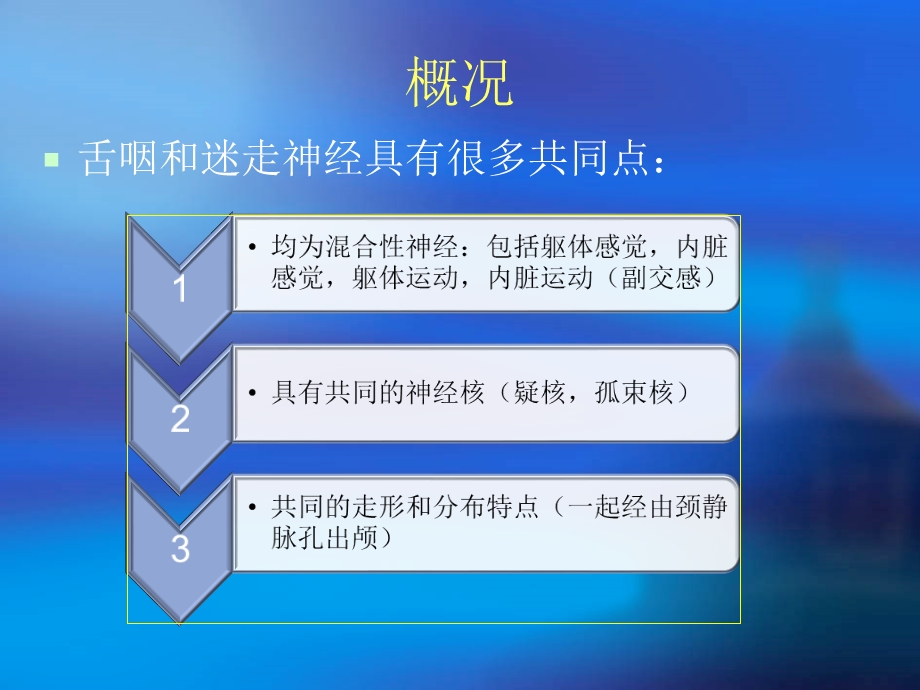 舌咽神经迷走神经.ppt_第3页