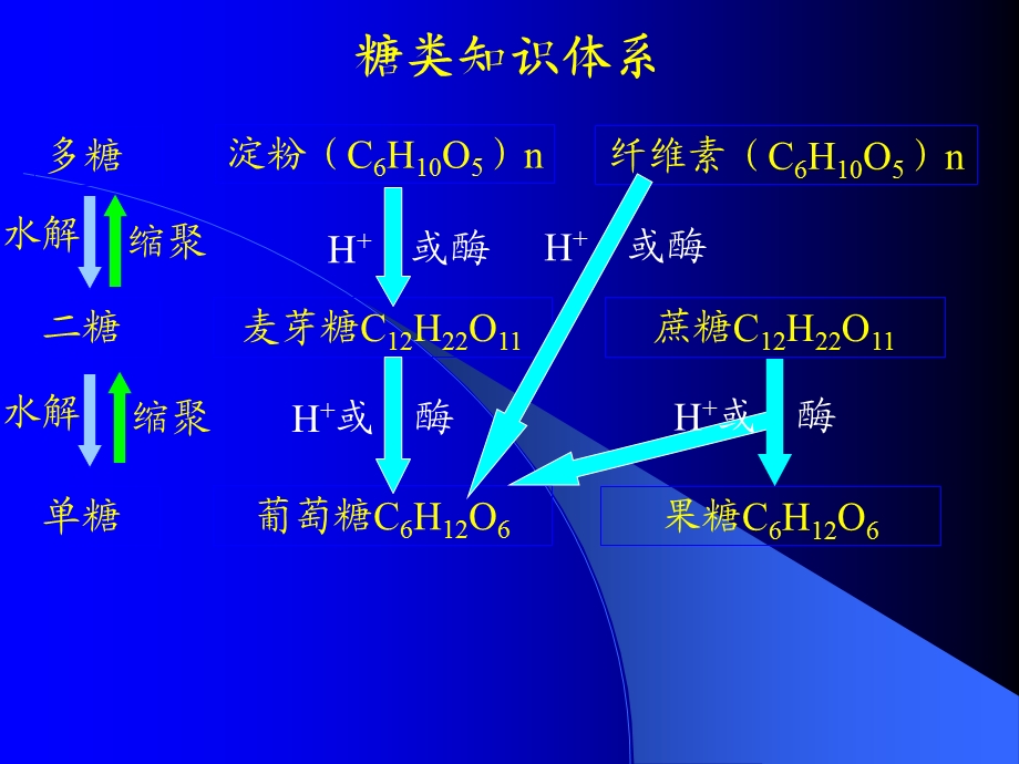 《糖类油脂蛋白质》PPT课件.ppt_第2页