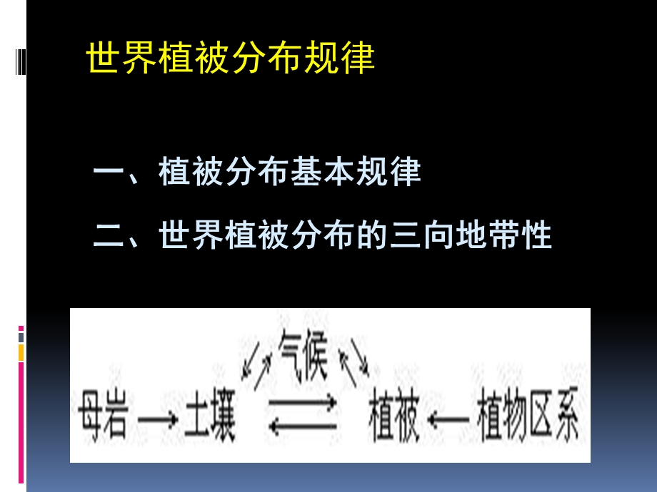 《植被分布规律》PPT课件.ppt_第1页