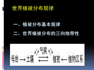 《植被分布规律》PPT课件.ppt