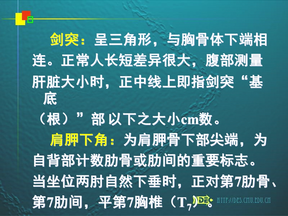 《胸部体表标志》PPT课件.ppt_第3页