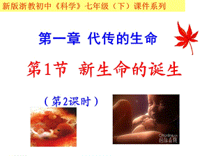 新生命的诞生 第二课时.ppt