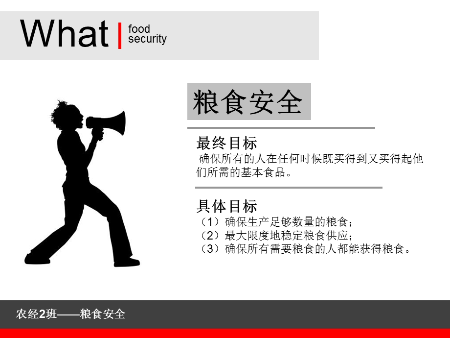 《粮食安全问题》PPT课件.ppt_第3页