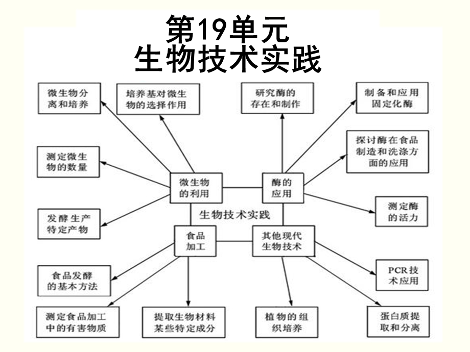 《生物技术实践》PPT课件.ppt_第1页