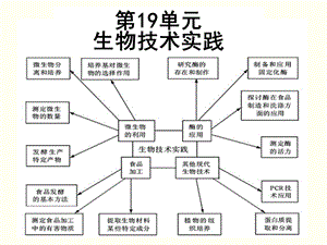 《生物技术实践》PPT课件.ppt