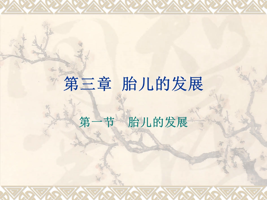 《胎儿的发展》PPT课件.ppt_第1页