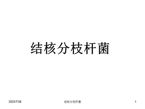 《结核分枝杆菌》PPT课件.ppt