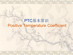 《PTC基本常识》PPT课件.ppt