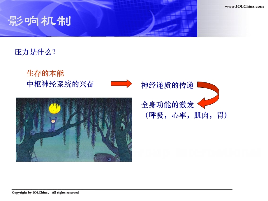 心理调适与压力管理.ppt_第3页