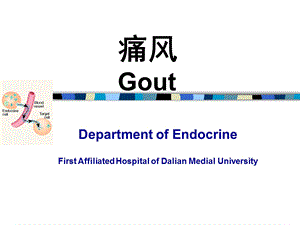 痛风Gout.ppt