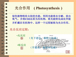 植物生理学呼吸作用.ppt