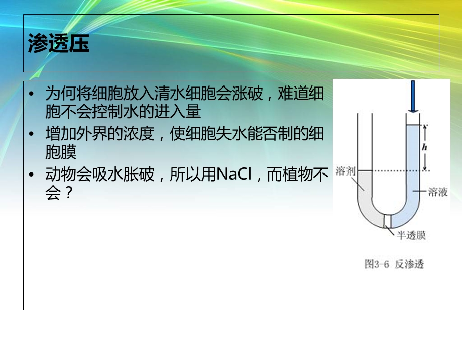 《细胞膜导学案》PPT课件.ppt_第3页