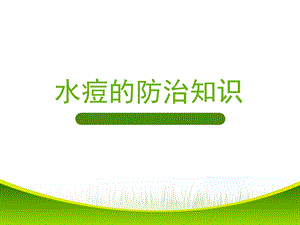 《水痘防治》PPT课件.ppt