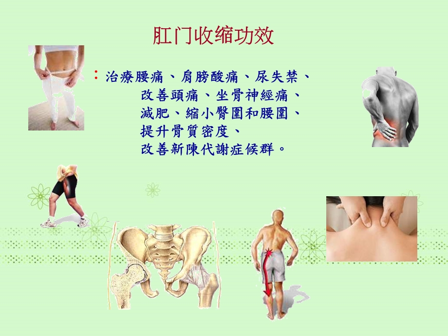 缩肛治病保健.ppt_第2页