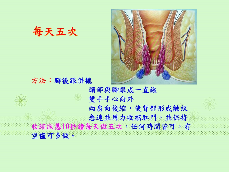 缩肛治病保健.ppt_第3页