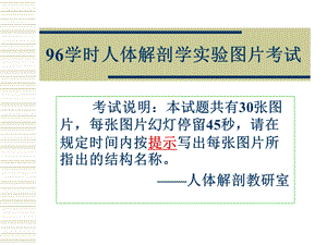 《系解实验考试》PPT课件.ppt