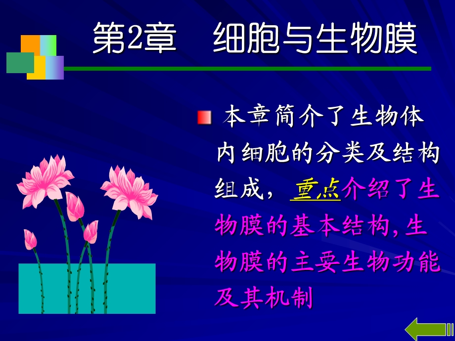 《细胞与生物膜》PPT课件.ppt_第2页