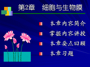 《细胞与生物膜》PPT课件.ppt