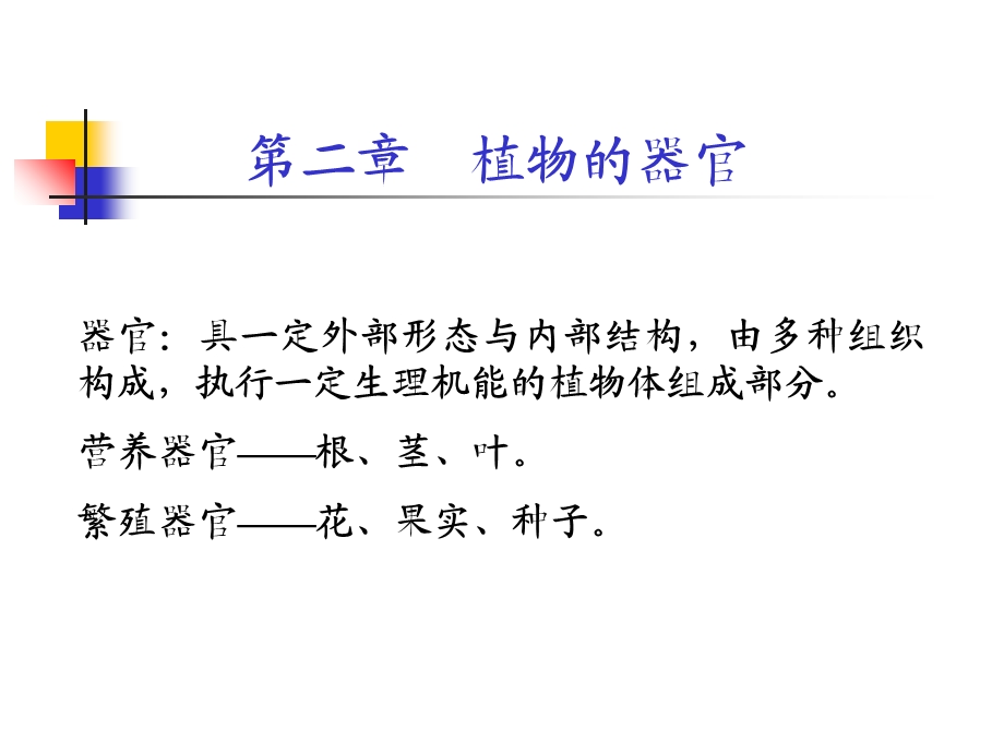 《植物的器官》PPT课件.ppt_第1页