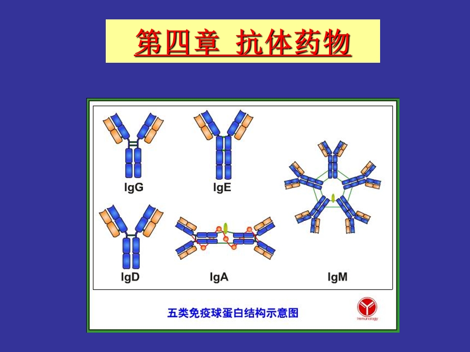 《抗体制药》PPT课件.ppt_第1页