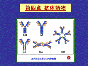 《抗体制药》PPT课件.ppt