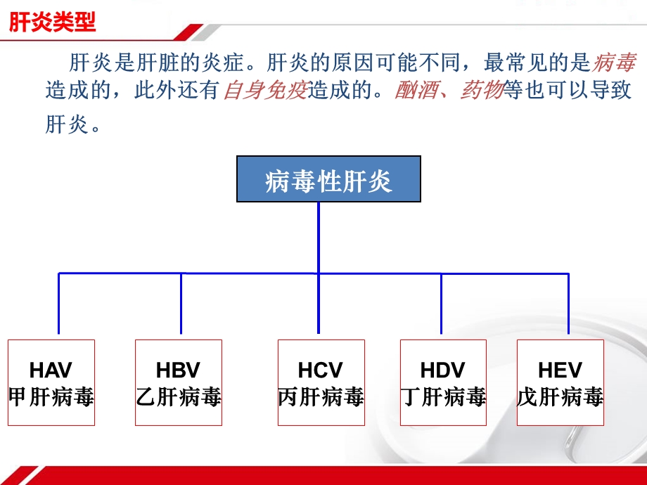 《肝炎科普讲座》PPT课件.ppt_第3页