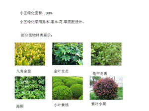 《植物配置的不足》PPT课件.ppt