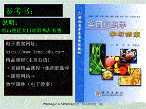 组织胚胎学问答题.ppt