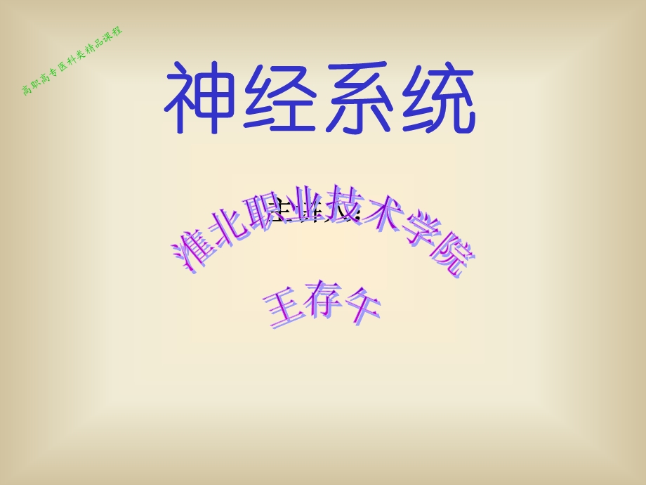 《正常人体结构》PPT课件.ppt_第2页