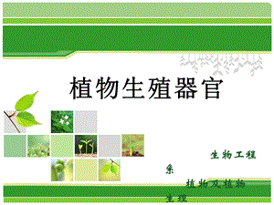 《植物生殖器官》PPT课件.ppt