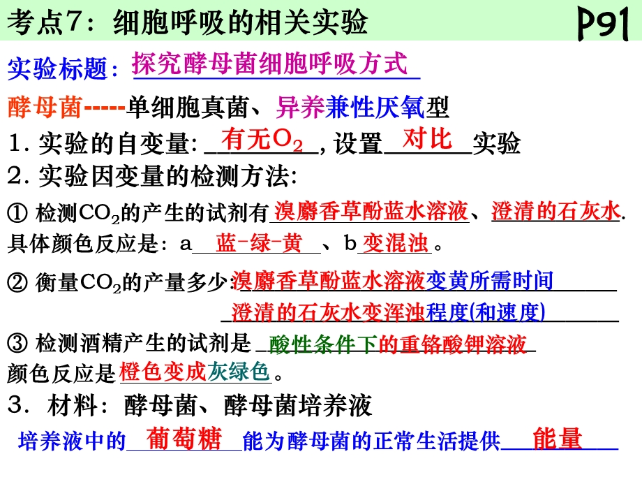 《细胞呼吸实验》PPT课件.ppt_第2页