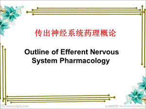 《传出神经系统概论》PPT课件.ppt