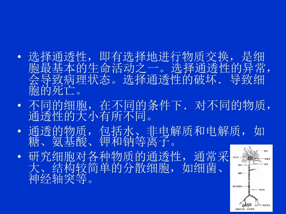 《细胞与细胞膜》PPT课件.ppt_第3页