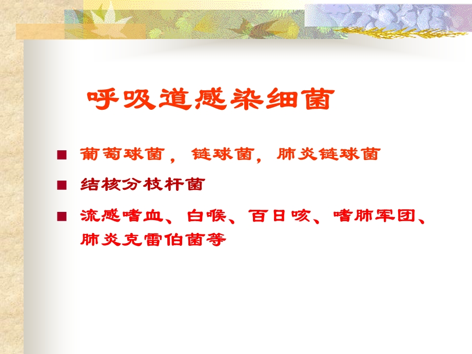 《结核杆菌》PPT课件.ppt_第1页