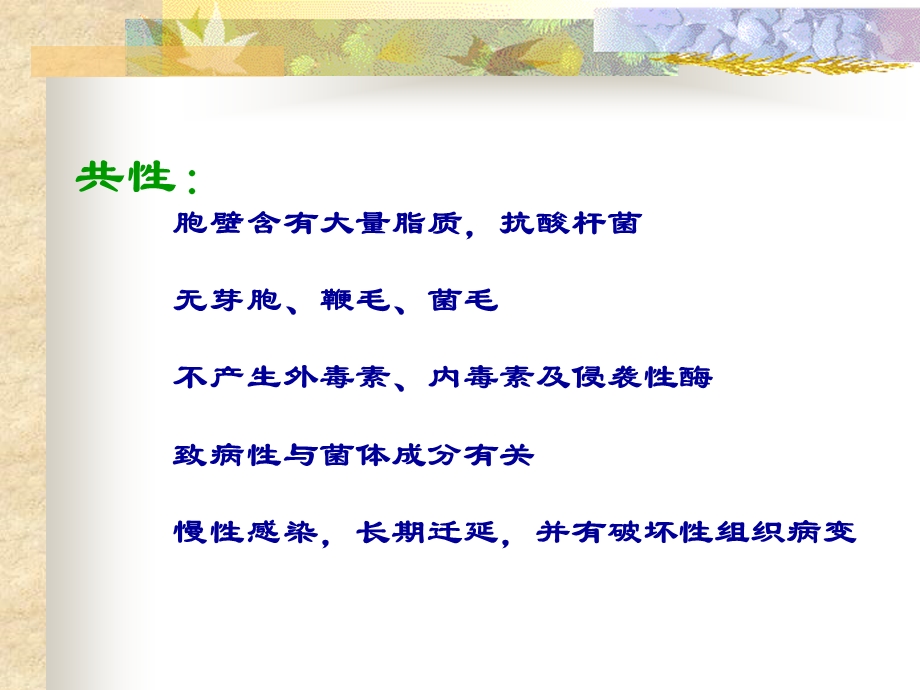 《结核杆菌》PPT课件.ppt_第3页