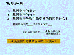 《染色体变异上课用》PPT课件.ppt