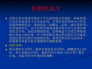 《沉积岩实习》PPT课件.ppt