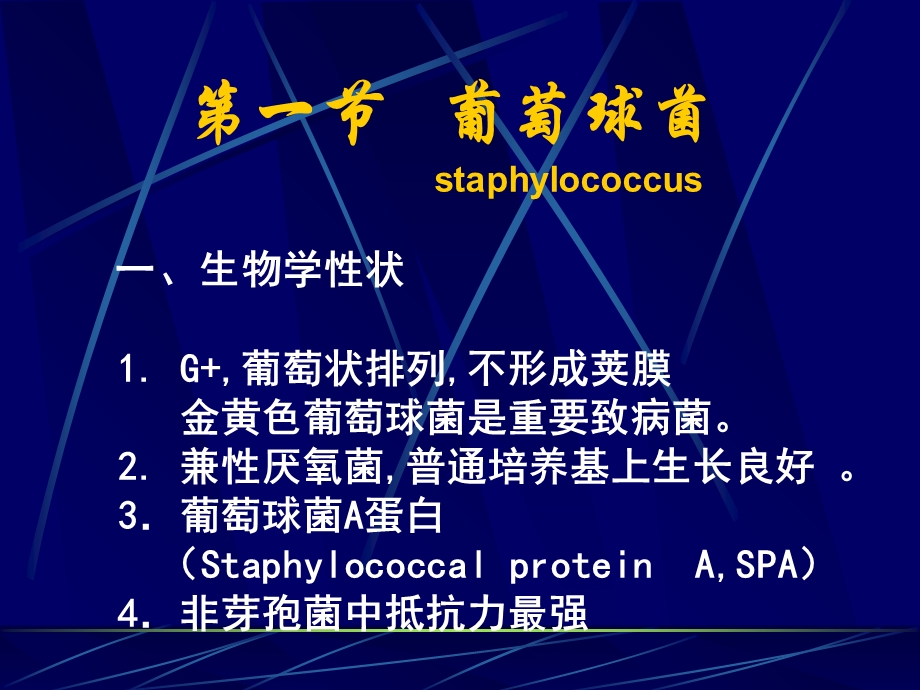 《细菌学各论》PPT课件.ppt_第3页