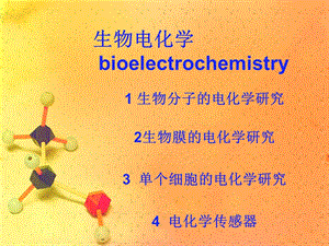 《生物电化学》PPT课件.ppt