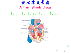 《抗心率失常》PPT课件.ppt